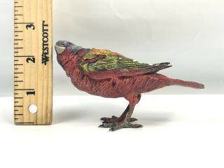 Antique Austrian Vienna Bronze Rare Exotic Bird Very Gorgeous Great Details