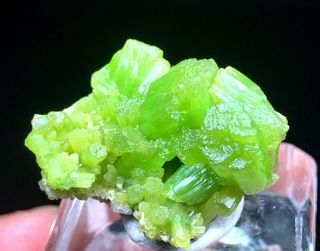 9.  4g Rare Natural Pyromorphite Crystal Cluster Mineral Specimens Guangxi,  China
