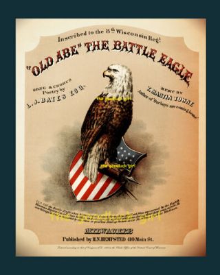 Civil War Wisconsin 8th Regiment Old Abe Battle Eagle Vintage 8x10 Art Print