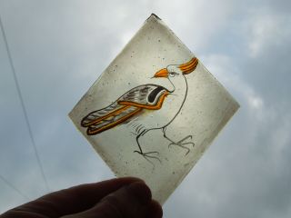 Victorian Stained Glass Fragment Of A Bird.