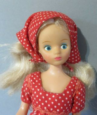 VINTAGE MARY QUANT DAISY DOLL IN CHERRY PIE DRESS & HEADSCARF,  MORE CLOTHES 2
