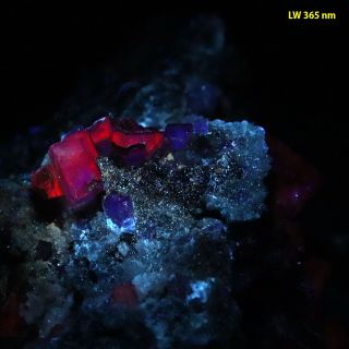Bb: Rare Fluorite W/ Red & Blue Fluorescence From Ojuela Mine,  Durango,  Mexico