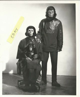Escape To Planet Of The Apes Vintage 10x8 Rare Promo Ape Family