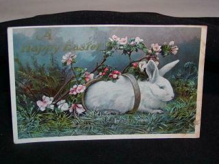 Antique Postcard - Easter Greetings Bunny In A Basket,  Tuck 