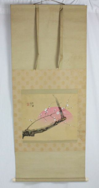 掛軸027 - 011 Japanese Hanging Scroll : Takeuchi Seiho " Spring " W/ Wooden Case