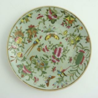 Chinese Canton Famille Rose Porcelain Plate,  19th Century