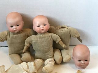 3 - Antique 12” A.  M.  Baby Dream Baby Dolls Germany For Doll Hospital
