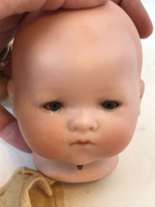 3 - Antique 12” A.  M.  Baby Dream Baby Dolls Germany For Doll Hospital 2