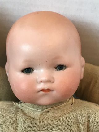 3 - Antique 12” A.  M.  Baby Dream Baby Dolls Germany For Doll Hospital 3