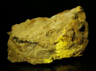 Natrozippeite Rare Uranium Mineral Powdery Crusts On Matrix Green River Dist,  Ut