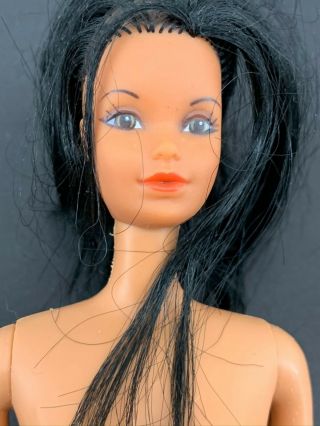 Vtg 1966 Tnt Barbie Sunsational Malibu Christie Steffie Face Brown Hair/eye