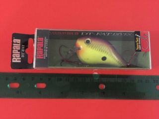Rapala Dt Fat 1 Cps Purple Vintage Rare Bass Musky Salmon Discontinued