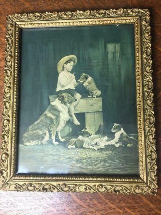 Antique Vintage Dog Lithograph Print Collie Puppies Boy Ornate Old Frame
