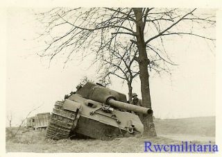 RARE US Soldier w/ KO ' d German JAGDTIGER Heavy Panzer Tank on Side of Road 2