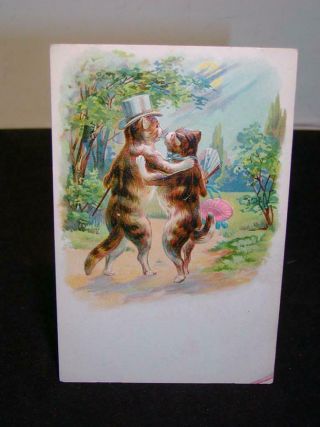 Antique Animal Postcard - C1905 - 10,  2 Cats Dancing - In Top Hat W/ Cane