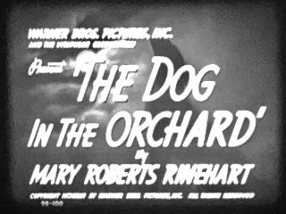 16mm Rare Wb Short Dog In Orchard Howard Dasilva Barbara Pepper Addison Richards