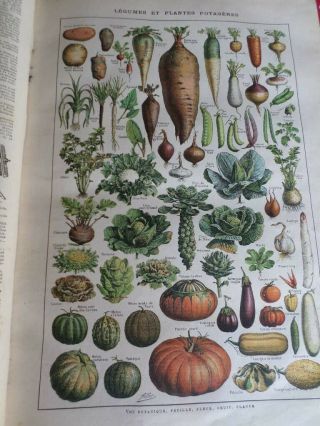 Antique Larousse Universel Vol 2 Encyclopedia French 33 Coloured Pages 1923