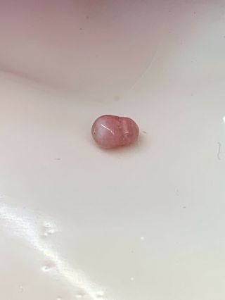 Pink Conch Pearl,  Natural & Rare Beauty
