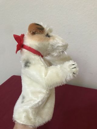 Vintage 9” Steiff Foxy Terrier Dog Hand Puppet 6640/17 Germany Rare Adorable 2