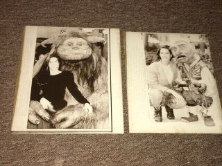 Jennifer Connelly Promoting Labyrinth - Very Rare 1986 Photo Sheets.  Jim Henson