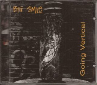 Big Smile Going Vertical Cd Mega Rare Indie Hard Rock Hair Metal 2001