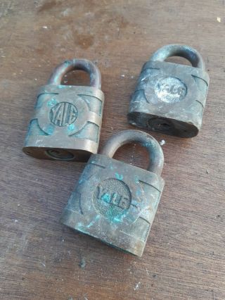 Vintage Old Yale Brass Padlocks Display?