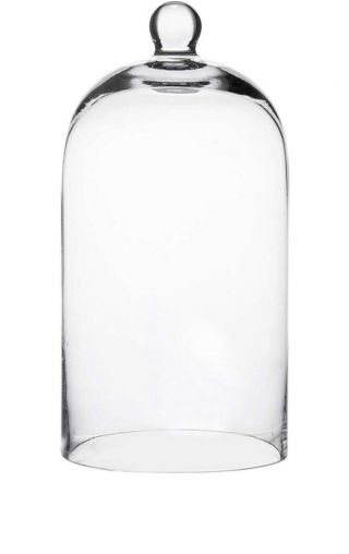 Glass Dome D7”xh14.  5” Perfect For Centerpieces,  Antiques & Display Items (x9) $25