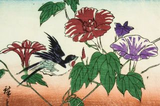 Japanese Woodblock Print Of Bird And Flowers Mounted Vintage Retro Picture