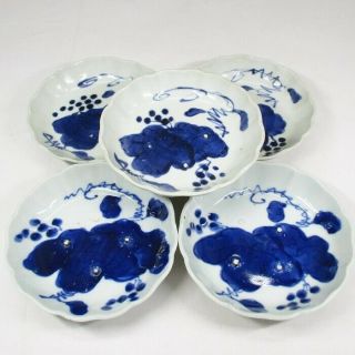 B598: Real Japanese Old Imari Blue - And - White Porcelain Ware Five Plates