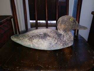 Old Wooden Animal Trap Co Duck Decoy Duck Decoy