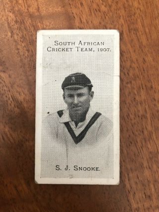 V.  Rare Taddy South African Cricket Team Cigarette Card 1907 S Snooke Cat £70