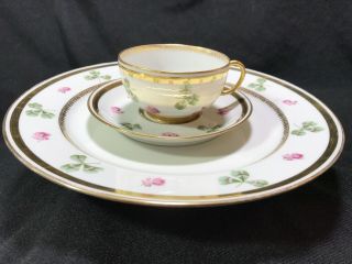 Rare,  Vintage J Pouyat Limoges Clover Porcelain China Plates,  Cup,  Saucers