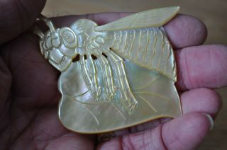 Vintage Hand Carved Gold Lip Mother Of Pearl Shell Hornet Carving