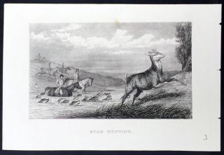 1855 Antique Print Of Stag Hunting In Windsor Great Park,  Berkshire Uk