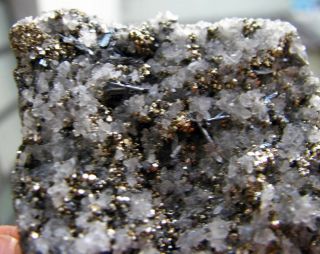 Rare Hutchinsonite Metallic Crystals,  Pyrites & Quartzs - Peru.  5 Mm.  Crystals