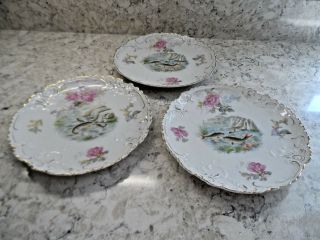 3 Merkelsgrun Antique Embossed Fish Plates Austria Hand Painted And Gilded
