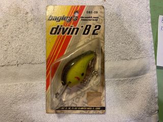 Bagley Divin’ B2 Db2 - 09 Old Fishing Lure 7