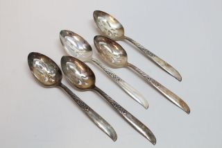 5 Wm A Rogers Oneida Ltd Always Wildwood Silverplate Slotted Serving Spoons