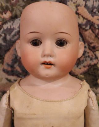 Antique 18 " German Bisque Heubach Koppelsdorf Doll W/lovely Fully Jointed Body