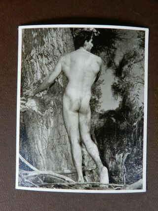 Vintage Print,  Male Nude Outdoors,  Western Photography Guild,  Wpg,  4x5
