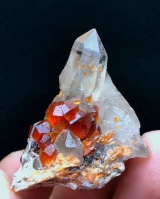 Natural Gules Fanta Spessartine Garnets Mica Crystal Rough Rare Mineral Specime