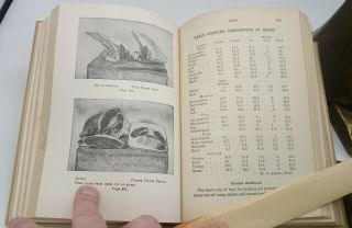 Antique The Boston Cooking School Cook Book Fannie Farmer 1917 & Vivid 2