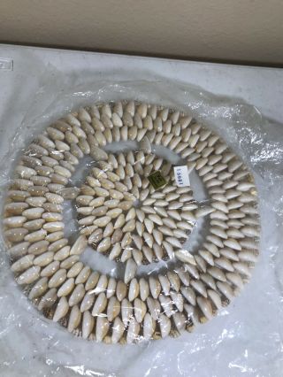 Rare Vintage Trochus Sea Shell Small Shells 9” Decro Made In Philippines