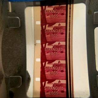 16mm Film Foghorn Leghorn Strangled Eggs Rare 1960s Warner Bros Cartoon
