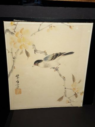 Vintage 1932 Japanese? Watercolor Painting Bird On Flowering Branch 9 1/2 " X 11 "