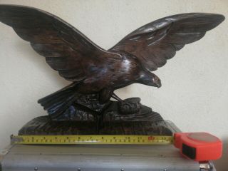 Large Vintage Antique Black Forest Style Wood Eagle Carving.  57 X 30 Cm