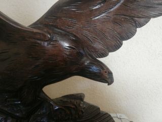 Large Vintage Antique Black Forest Style Wood Eagle Carving.  57 X 30 cm 3