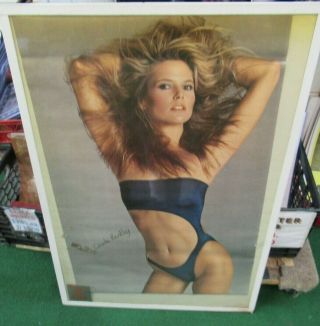 Christie Brinkley Poster 1985 Rare Vintage Collectible Oop Hot Sexy Playboy