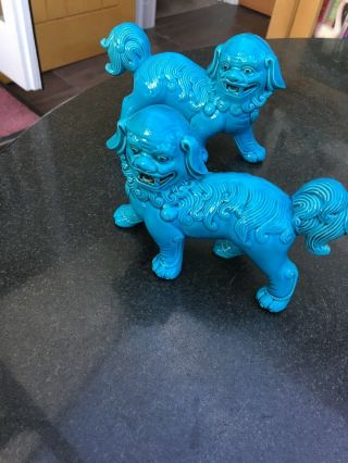 Pair Chinese Turquoise Dog Of Foo Temple Lion Figure