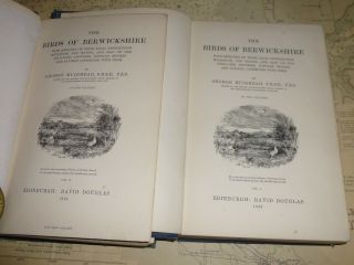 Rare 2 Vols.  The Birds Of Berwickshire By George Muirhead.  Heavily Illust.  1889.